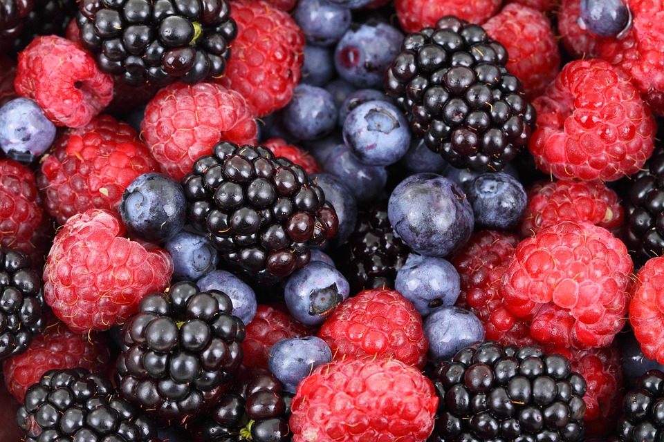 Read more about the article The Benefits of Organic Gardening for Sustainable Living