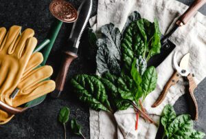 Read more about the article 10 Essential Tools for Home Gardeners