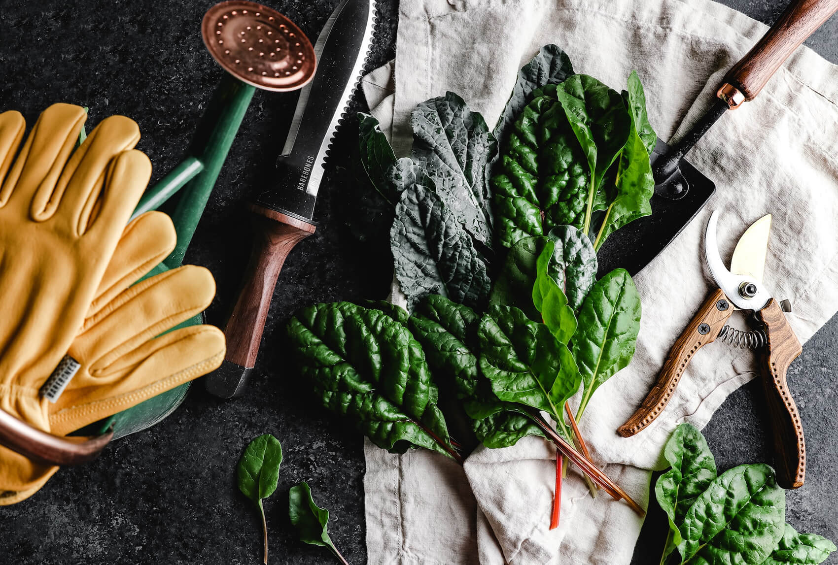 Read more about the article 10 Essential Tools for Home Gardeners