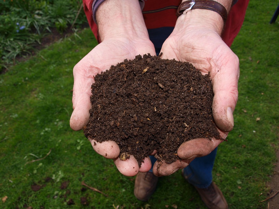 You are currently viewing The Basics of Composting: A Complete Guide for Beginners